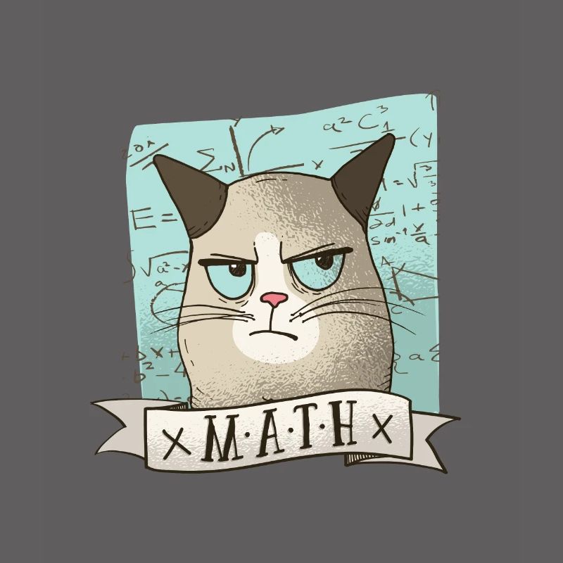 Math tutoring cat teacher tshirt gift