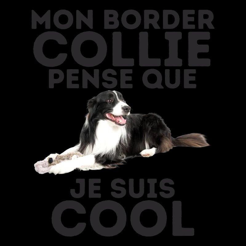 border collie 6