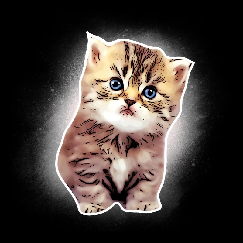 Baby katze