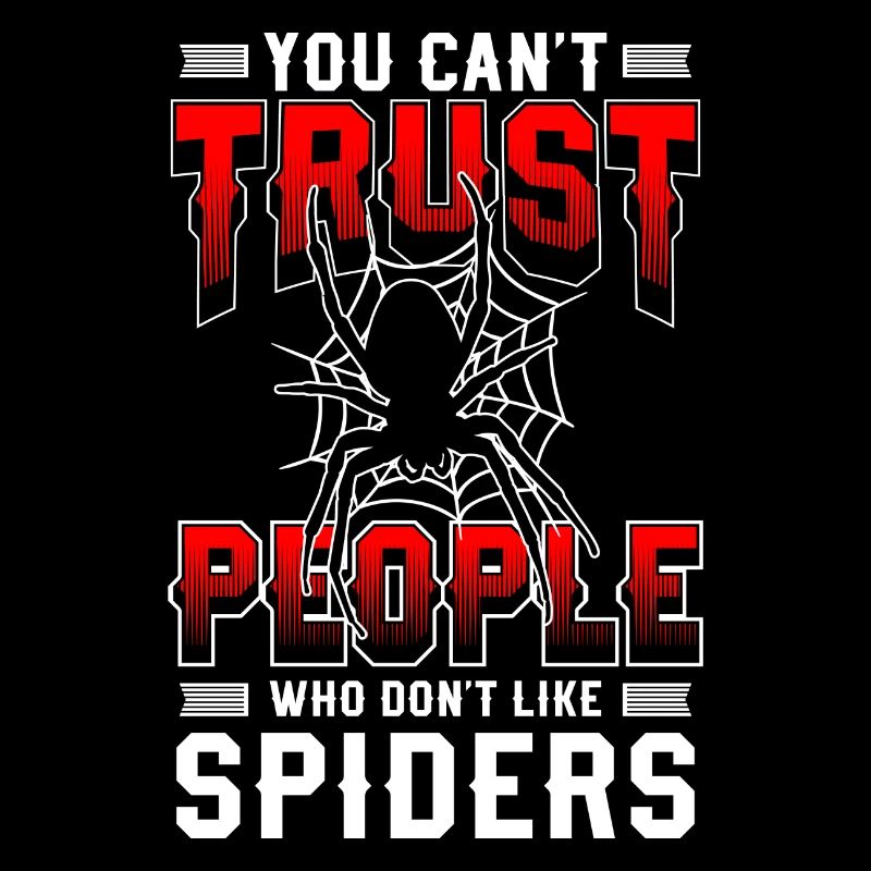 Spiders Nature Arachnids