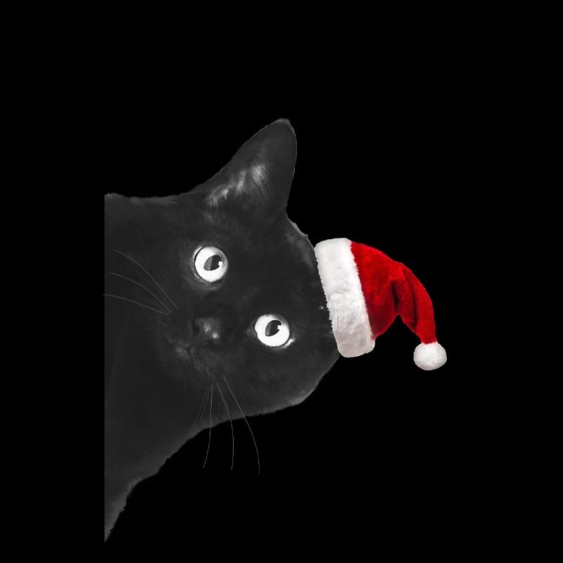 Chat de noel