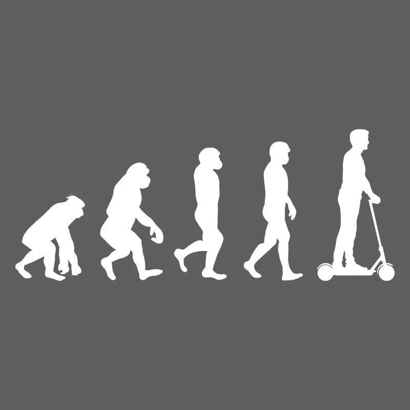 E-Scooter Evolution I E-Scooter City Scooter Scooter
