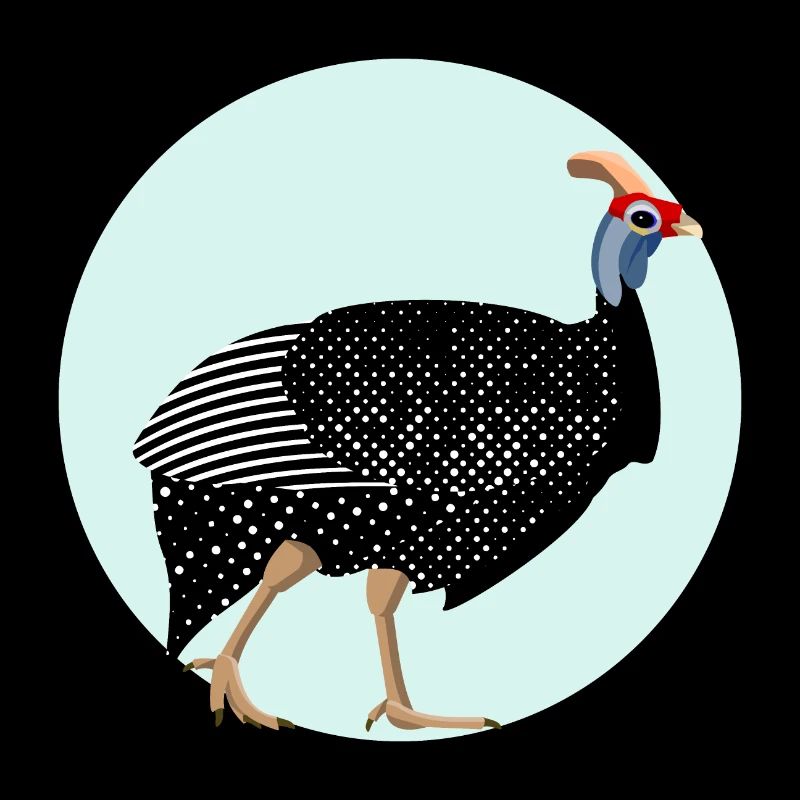 Pintade