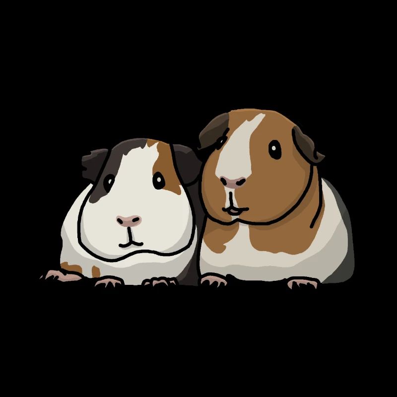 Cochons d'Inde, doux
