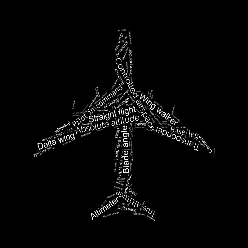 Pilot Airplane