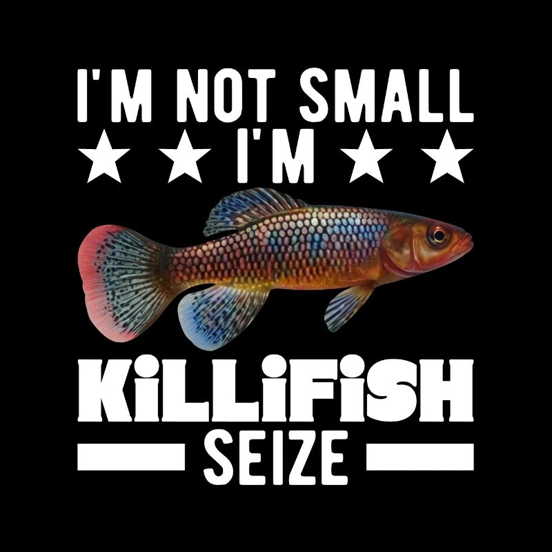 Killifish Quarium Fish