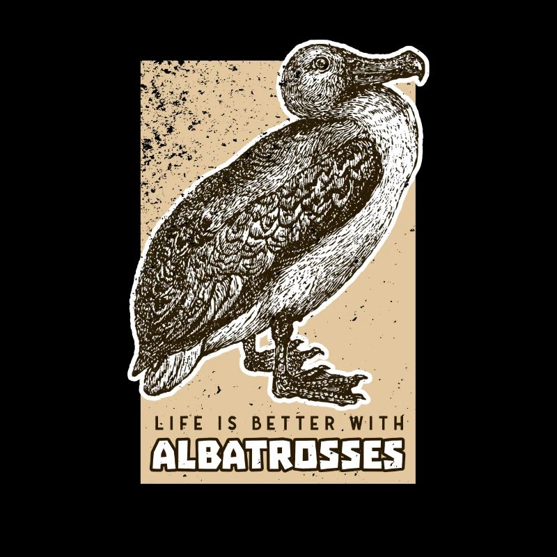 albatros