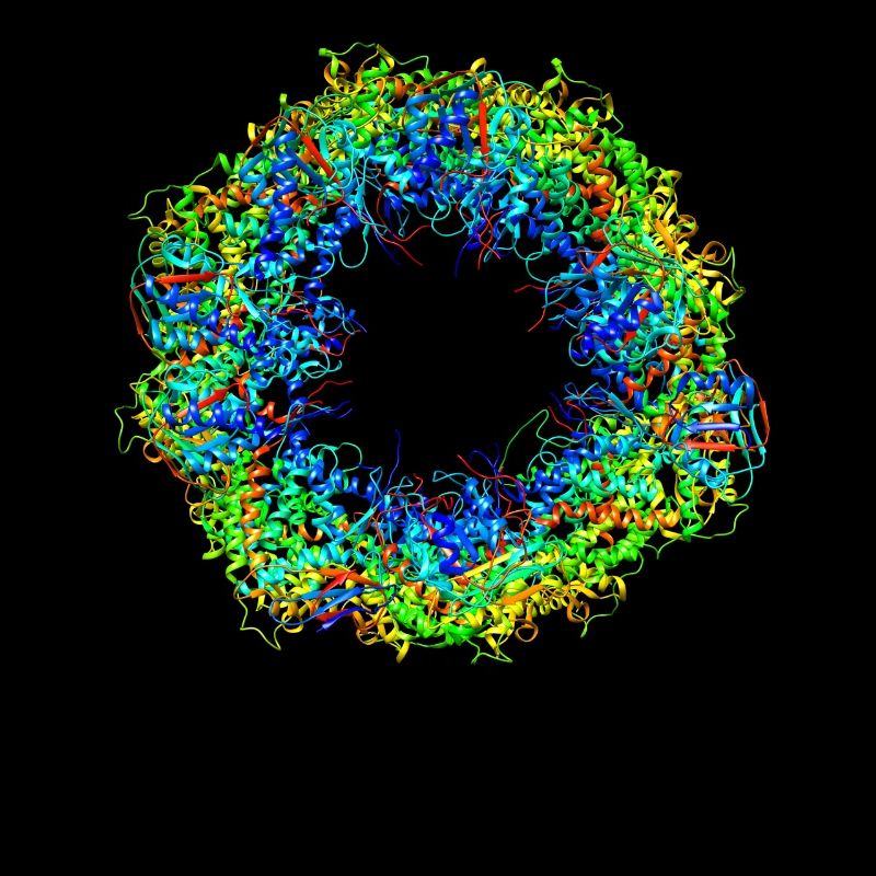 Structural biology chaperonin molecule