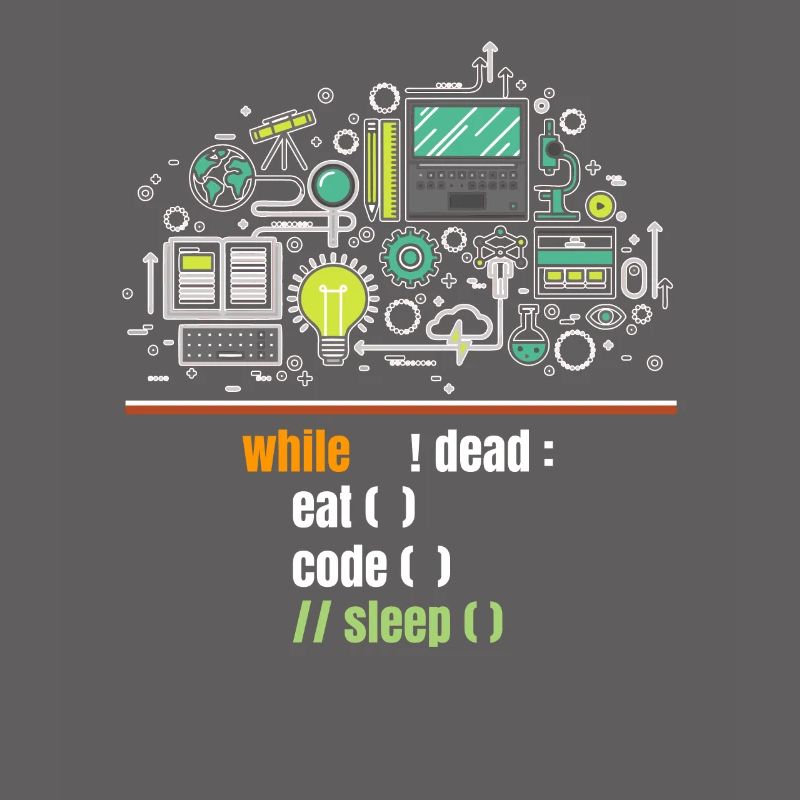 programmer