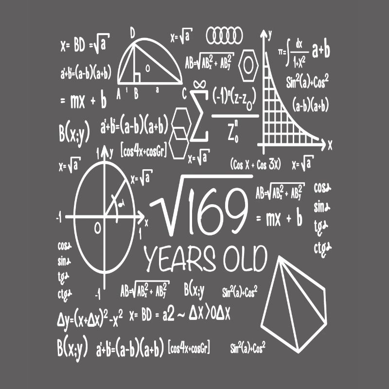 13th birthday 13 years math math student