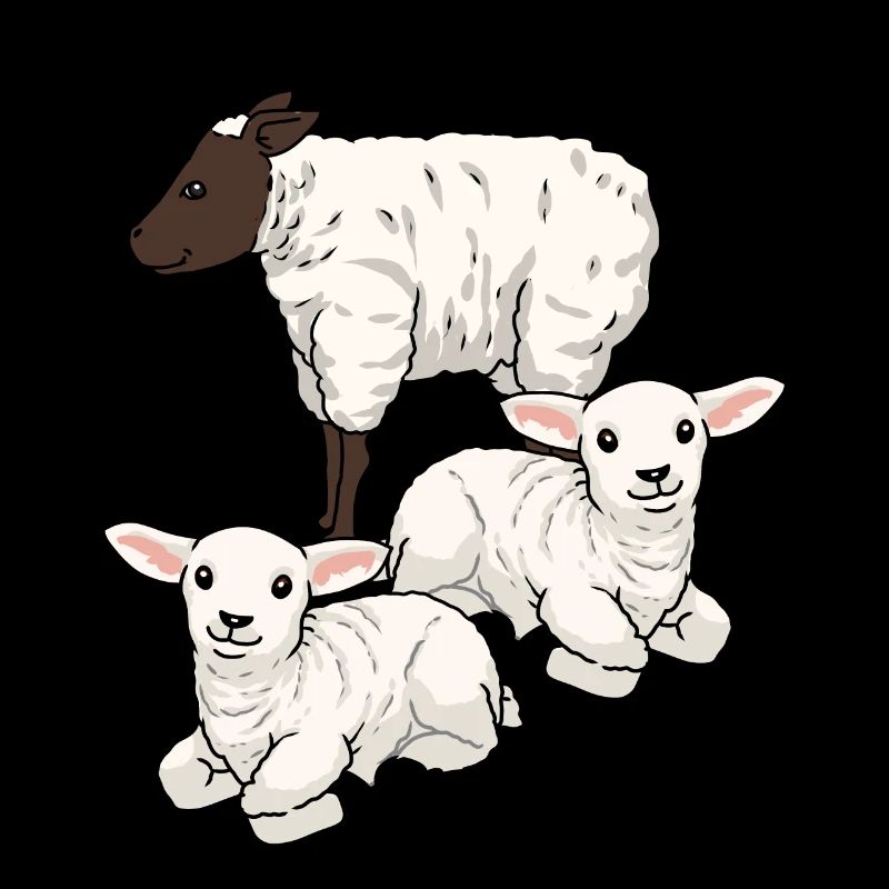 Schafe Schaf Huftiere Lamm Ostern Hammel Herde