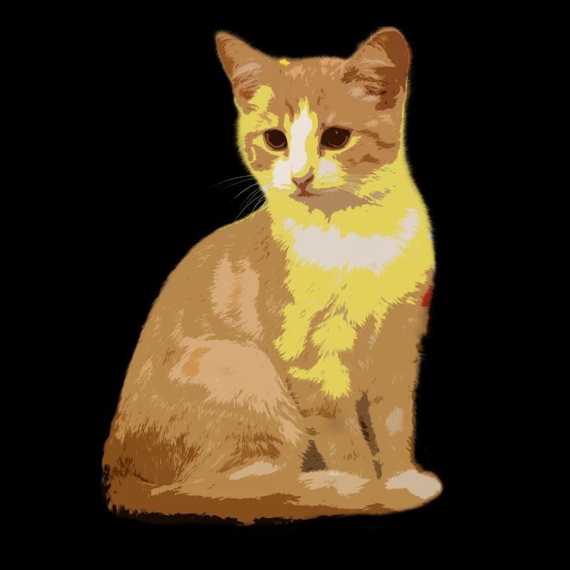 Katzen Katze