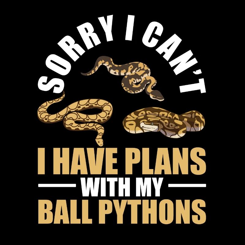 Plans Avec Mes Python Rois De Serpent