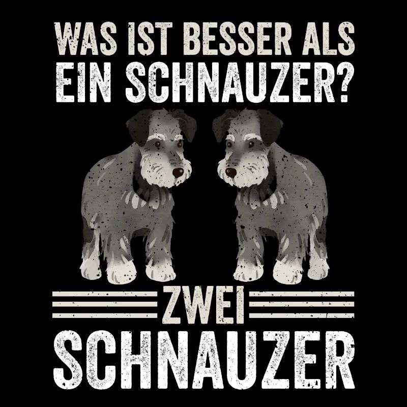 Zwei Schnauzer Hund Schnauzer