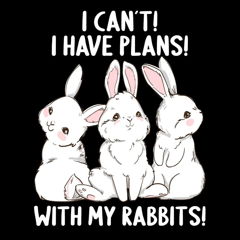 Lapin je ne peux pas avoir de plans avec mes lapins