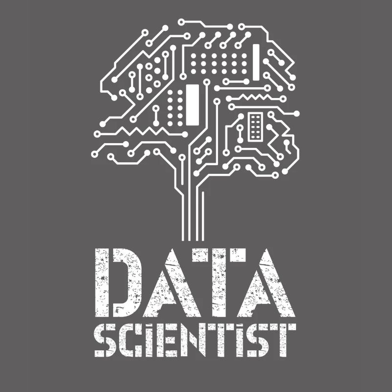 Data Scientist Data Science Data