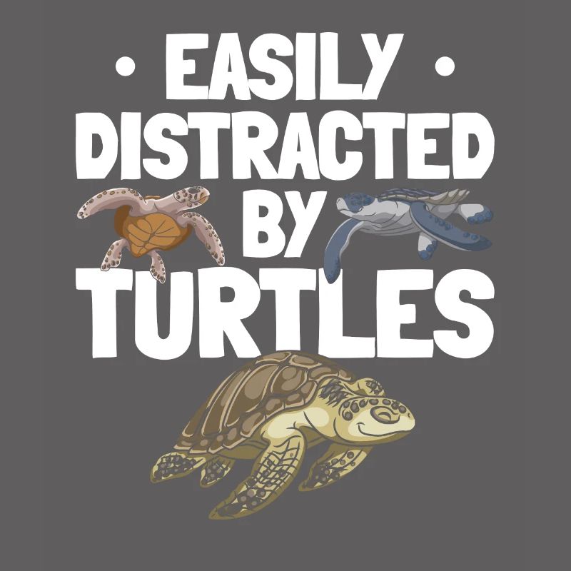 Cute turtle lovers that I easily learn from