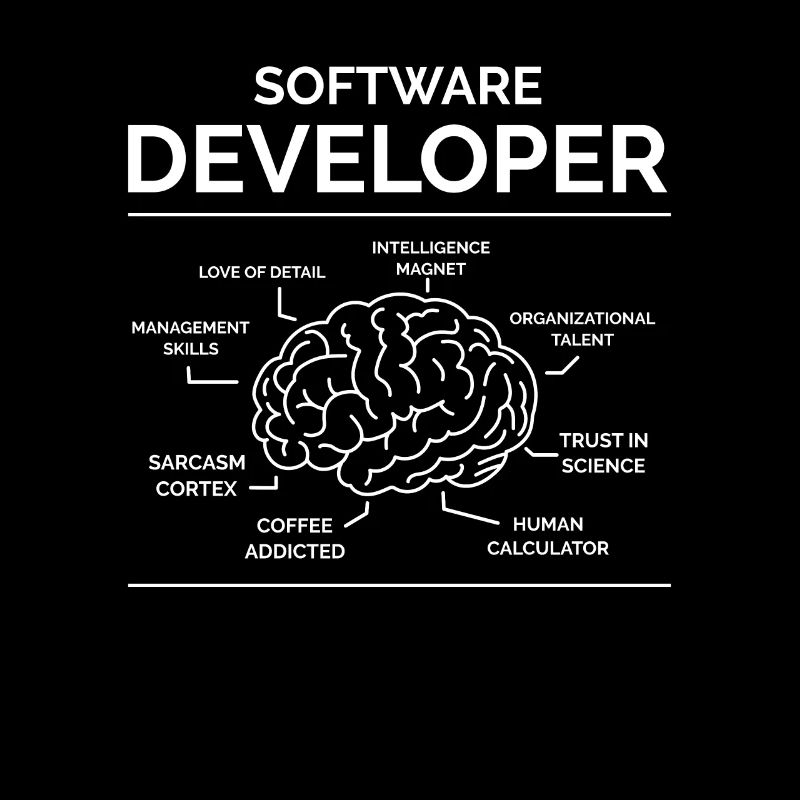 Software Entwickler