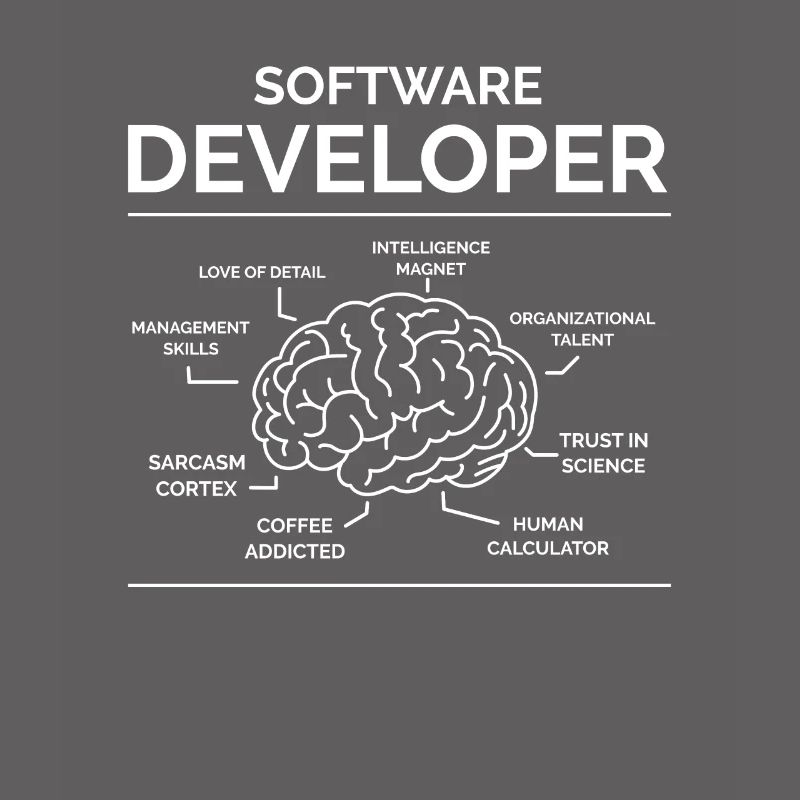 Software Developer