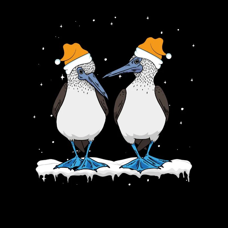 Noël à pieds bleus