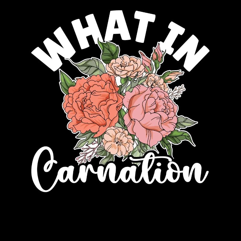 Qu’est-ce que dans Carnation fleuriste fleur