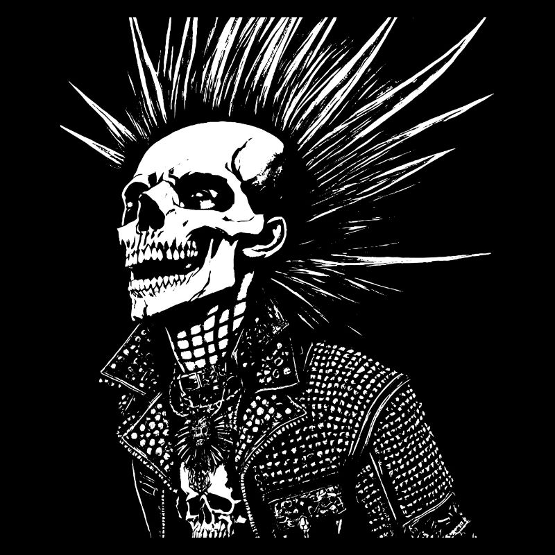 Crâne de fan d'anarchie avec Mohawk Crazy Antisocial Pu