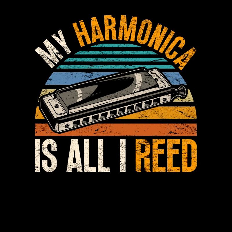 Harmonica harmonica player