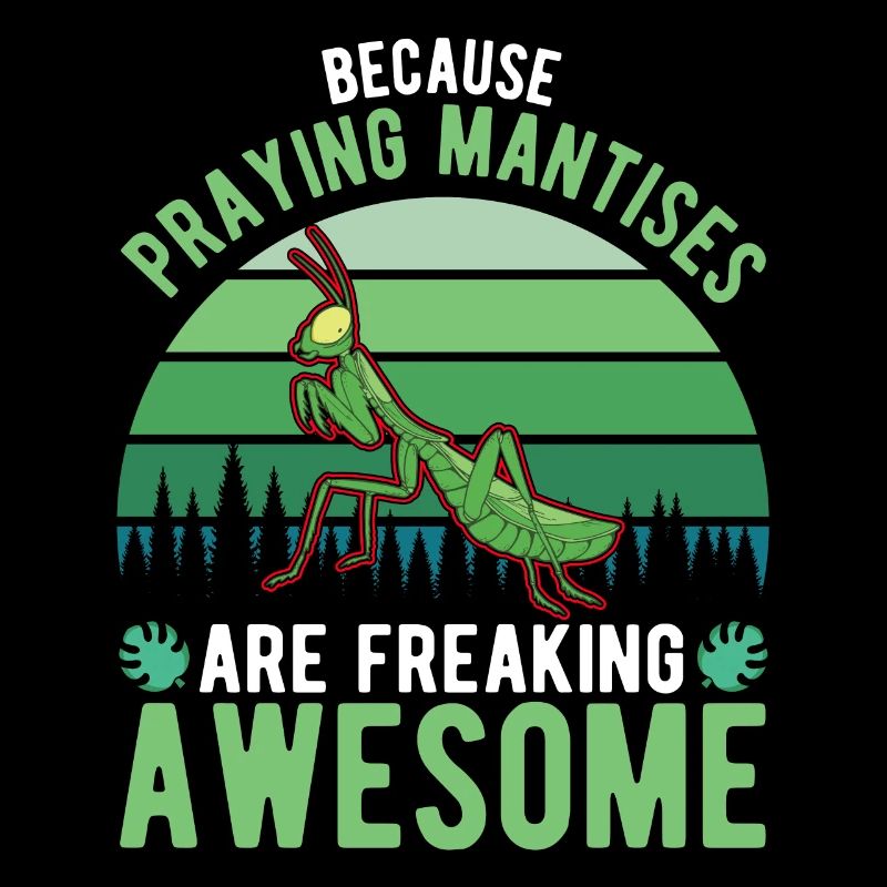Gottesanbeterin Fangschrecke Mantis
