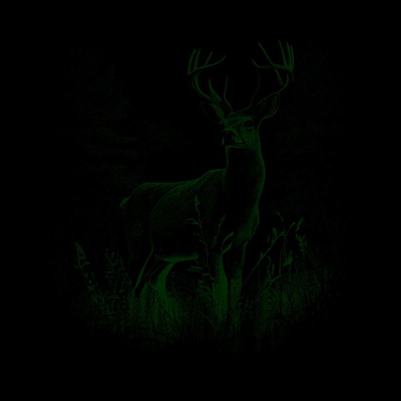 Hirsch Geweih Rotwild