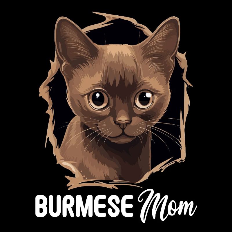 Burmese Cat Burma Katze