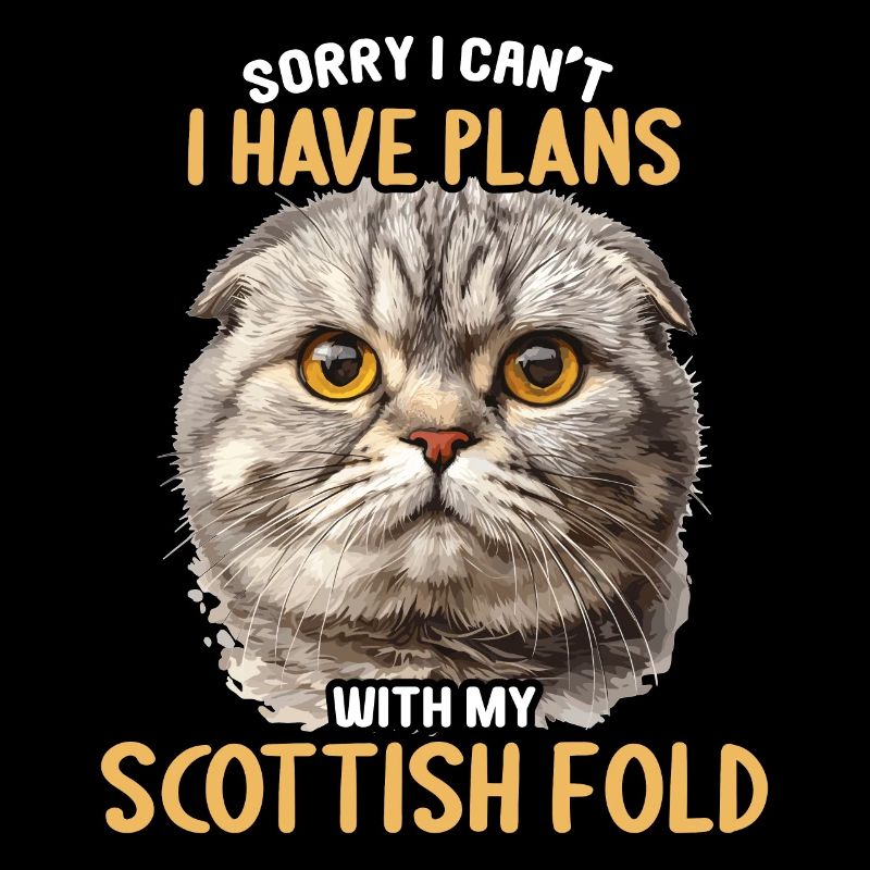 Scottish Fold Kitten Scottish Fold Cat