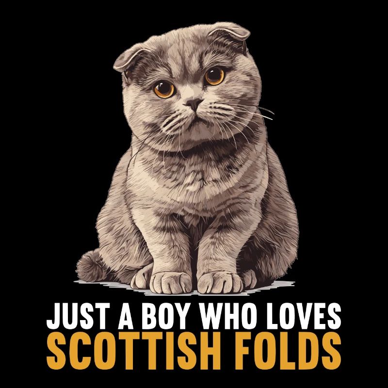 Scottish Fold Kitten Scottish Fold Cat
