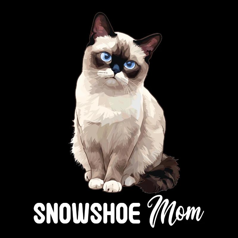 Chaton raquette Chat raquette