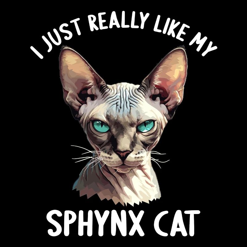 Sphynx Kitten Sphynx Cat