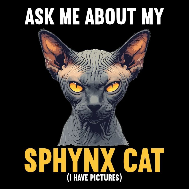 Sphynx Kitten Sphynx Cat
