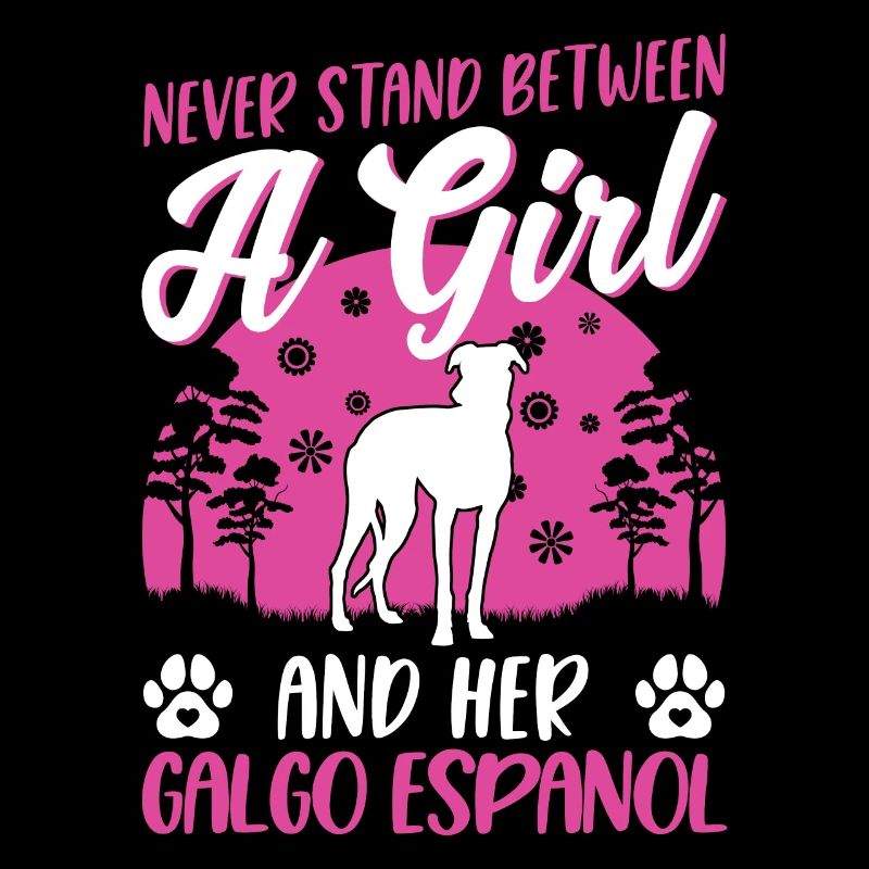 Galgo Espanol Mädchen Spanischer Windhund Galgo