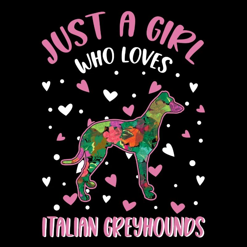 Italienischer Windhund Mädchen