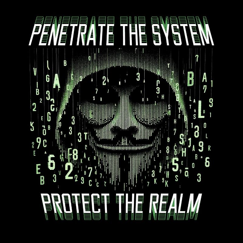 Penetrationstester Penetrate the system