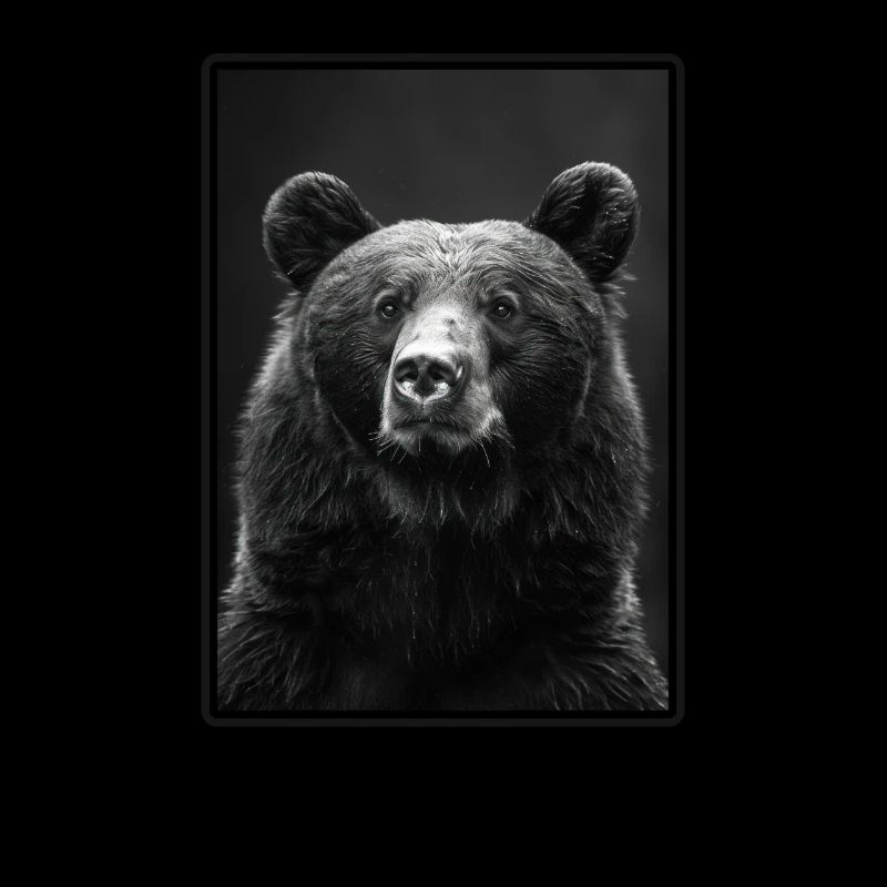 Bear Bären Bär