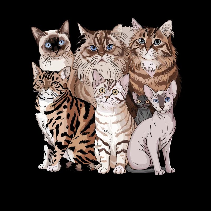 Different cat breeds illustration
