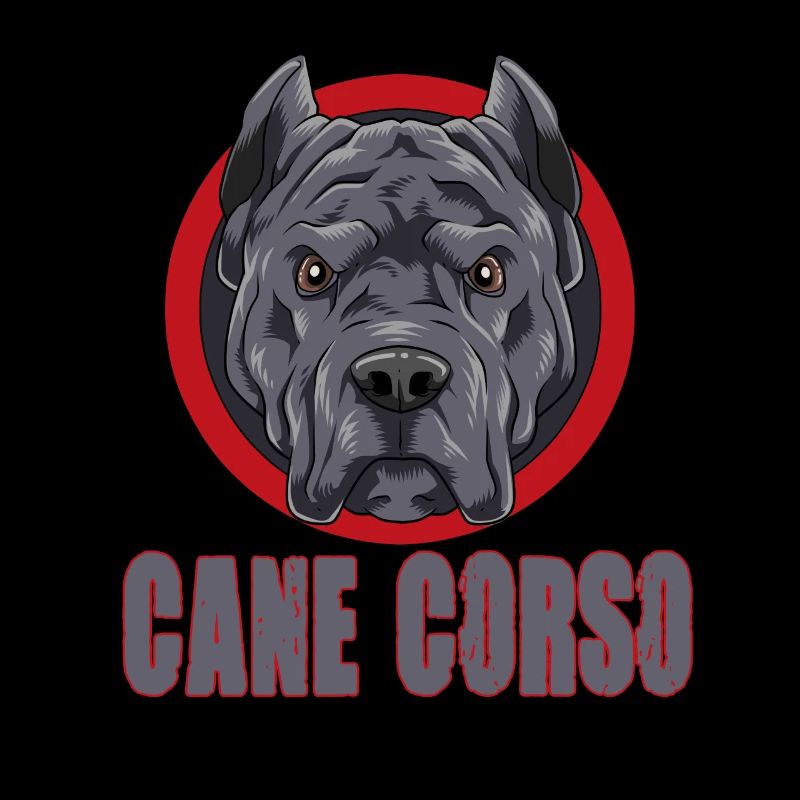 Cane Corso für einen Cane Corso Besitzer Cane