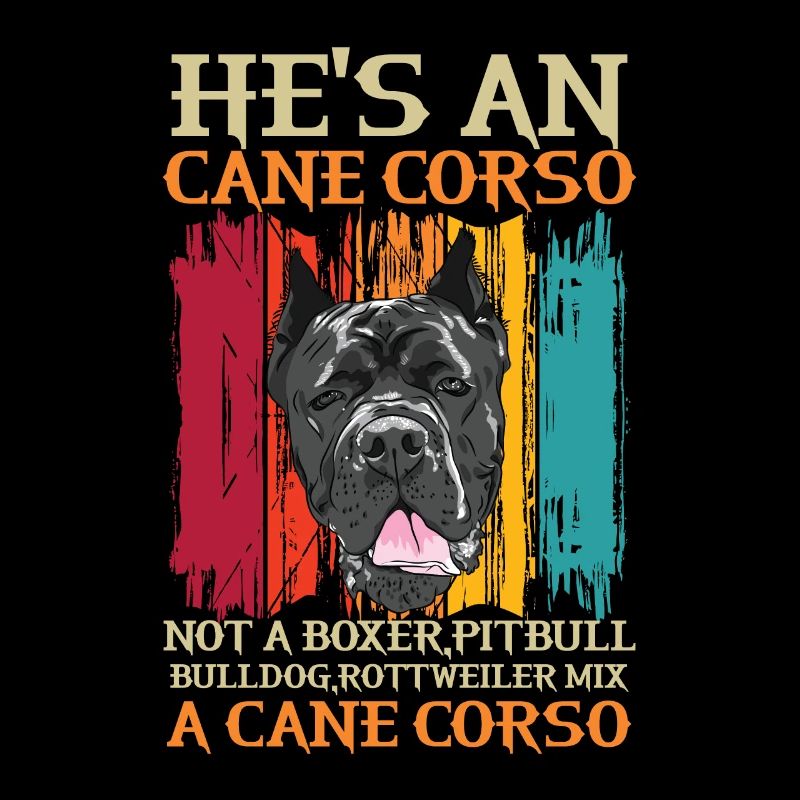 Cane Corso for a Cane Corso owner Cane