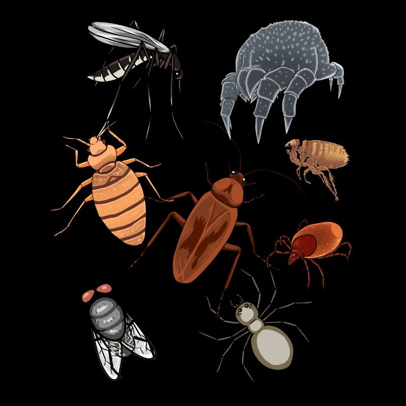 Pests Insect Pets Vermin