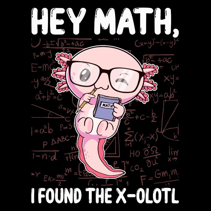 Funny Math Axolotl Math Gift