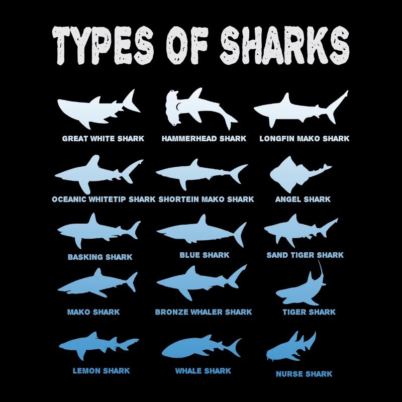 Types de requins