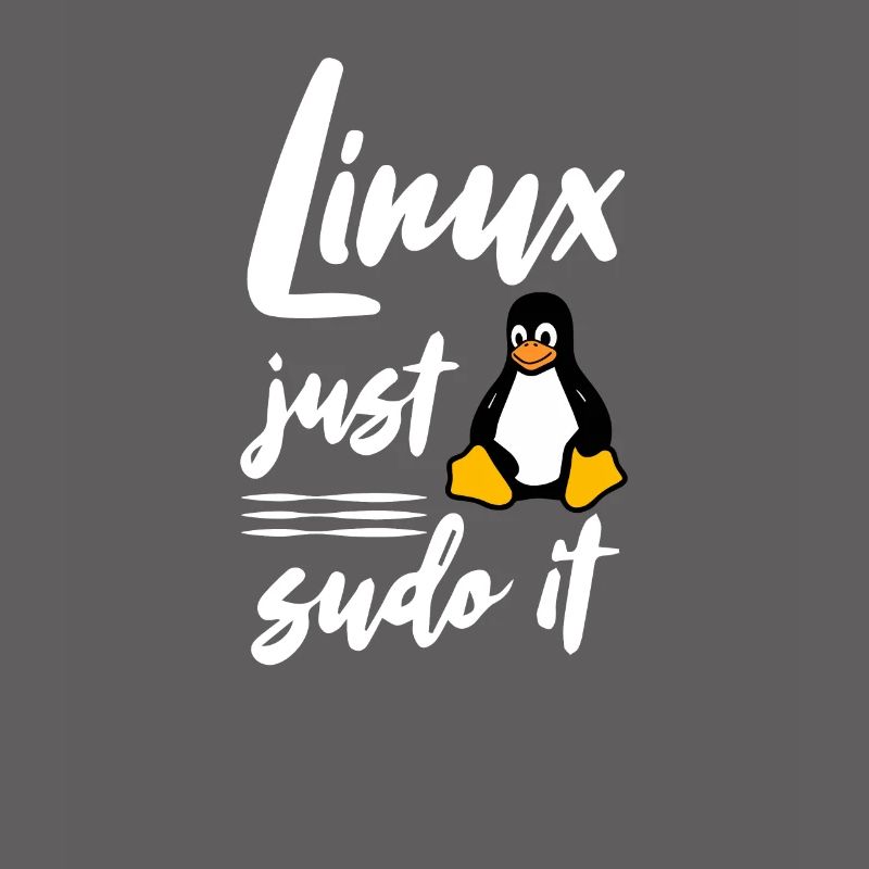 Linux juste sudo it