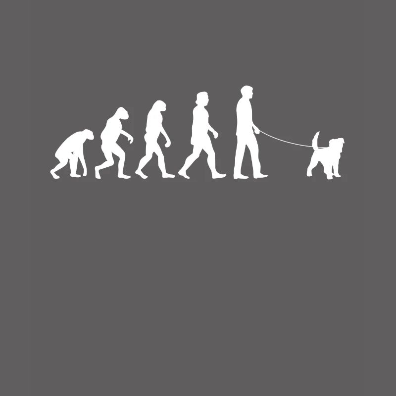 Cadeau Fox Terrier Evolution à poil dur