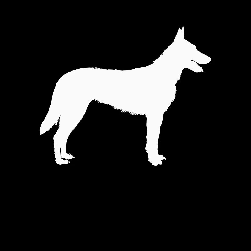 Hollandse Herder Holländischer Schäferhund