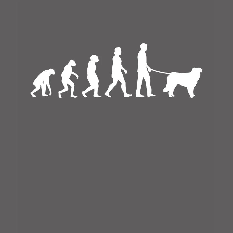 Évolution de Kuvasz