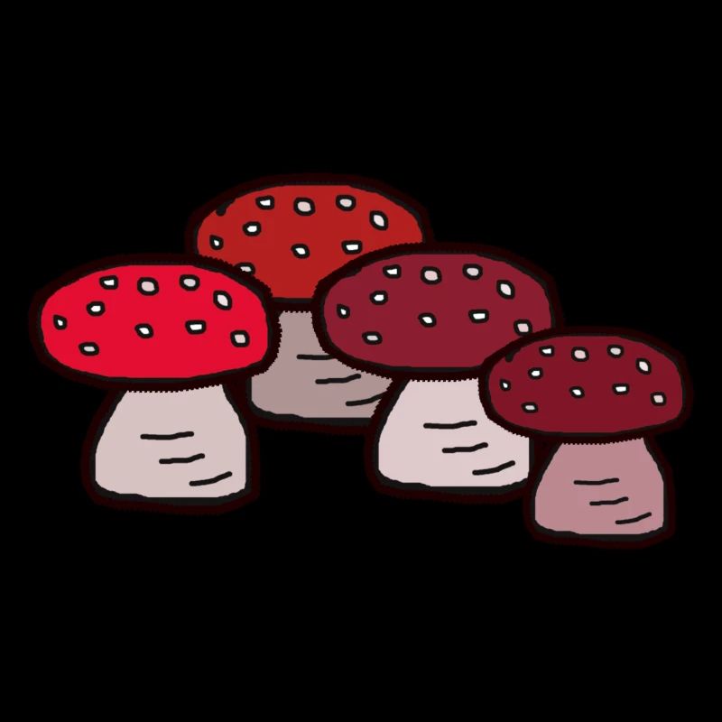 October Forest Mushrooms Toadstools Poisonous Poison